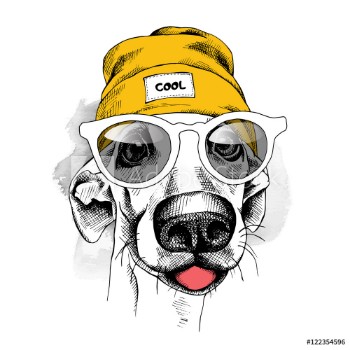 Picture of Portrait of dog in a yellow Hipster hat and with glasses Vector illustration